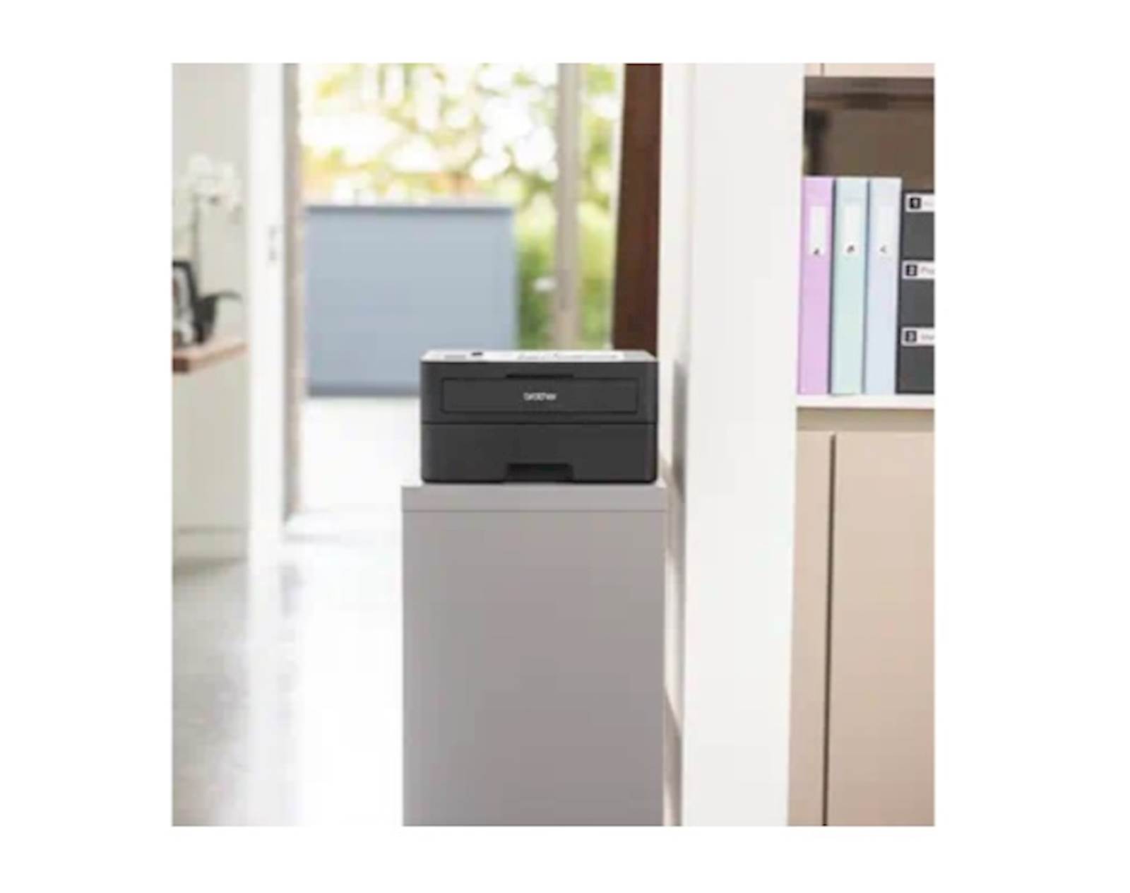 Printer BROTHER HL-L2460DN