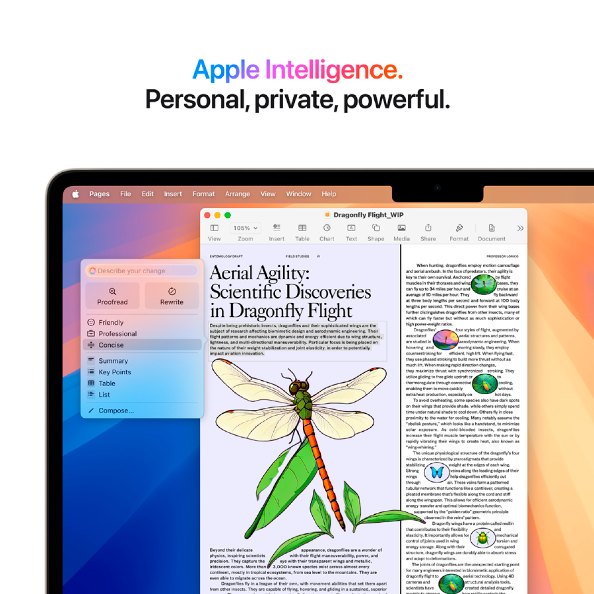 MacBook Air 13-inch,Starlight, Model A3240,M4 CHIP WITH 10C CPU, 8C GPU,16GB unified memory,30W USB-C Power Adapter,256GB SSD storage,Two Thunderbolt 4 Ports,Touch ID,Liquid Retina display,Force Touch Trackpad, KEYBOARD-INT