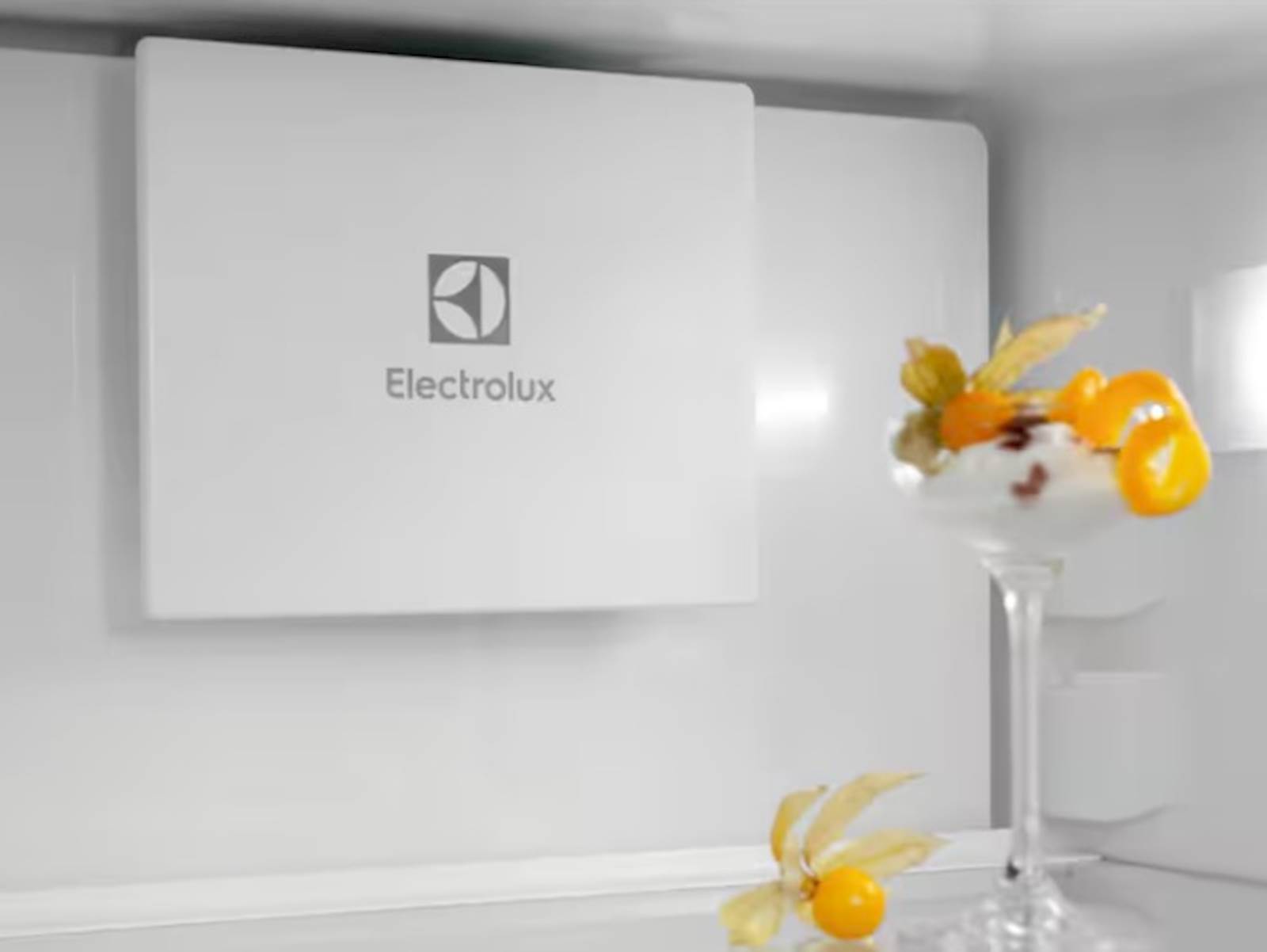 Frižider Electrolux sa zamrzivačem ENT6ME19S