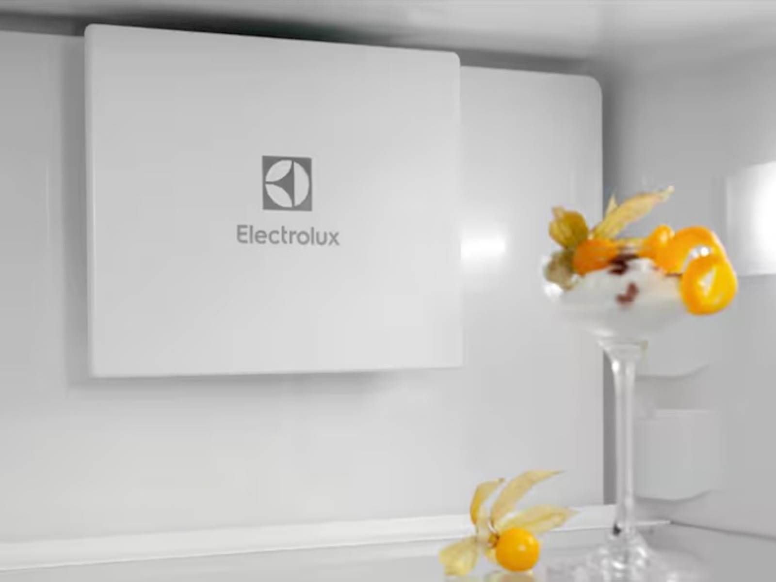 Frižider ELECTROLUX ENT6MD19S3